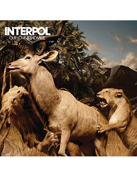 Interpol - Our Love To Admire
