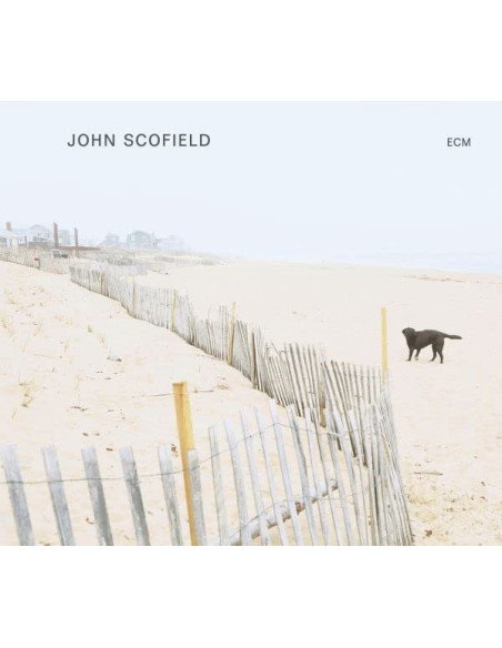 Scofield John - Solo