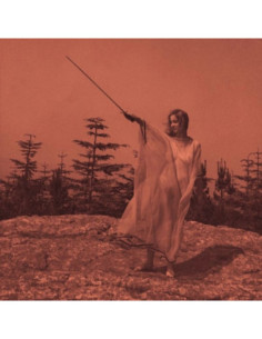Unknown Mortal Orchestra - Ii