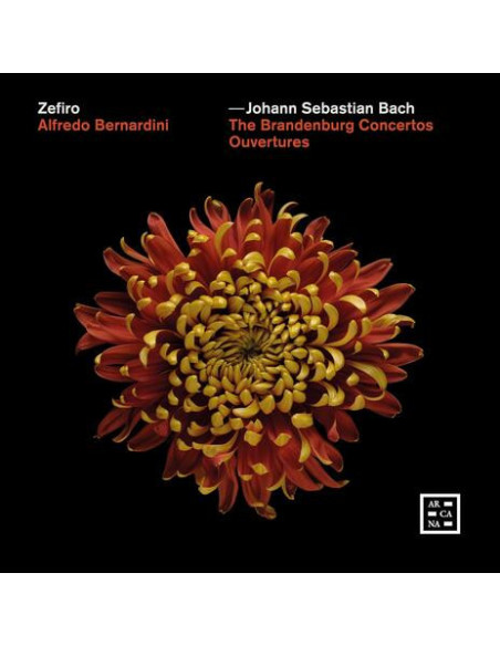 Johann Sebastian Bac - Bach: The Brandenburg Concertos - Ouvert - (CD)