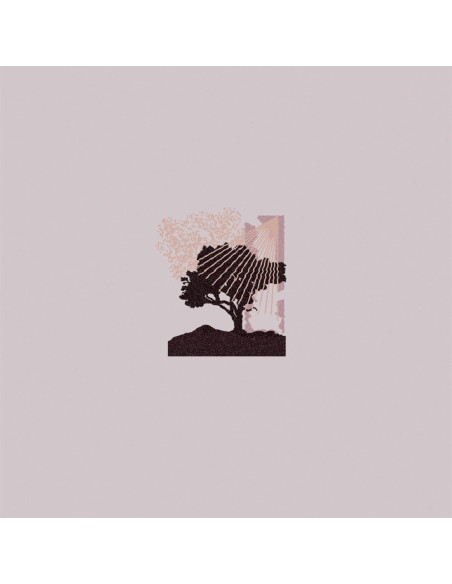 Land Of Talk - Performances - (CD)