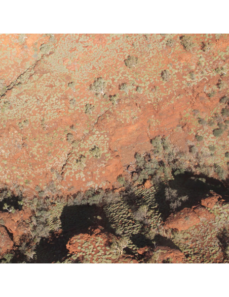 Lawrence English/Wer - Tropic Of Capricorn (Orange Vinyl)