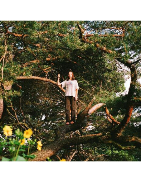 Packs - Melt The Honey - (CD)