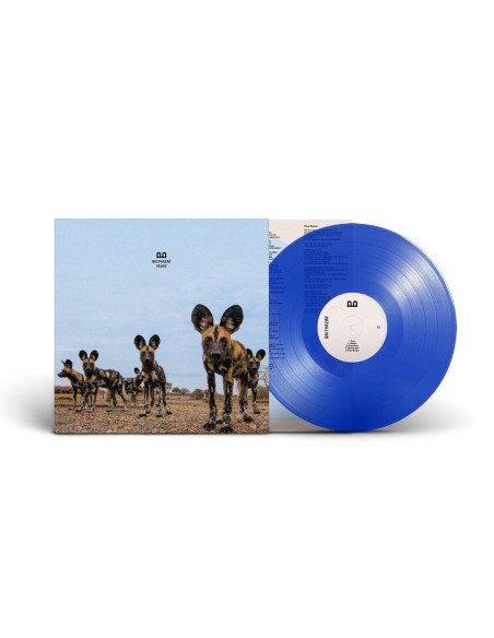 Balthazar - Fever (Clear Blue Vinyl)