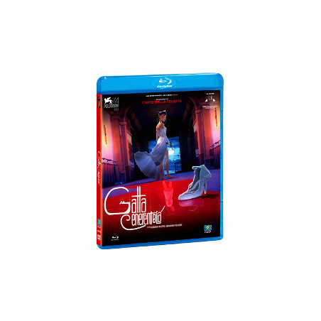 Gatta Cenerentola (Blu Ray)