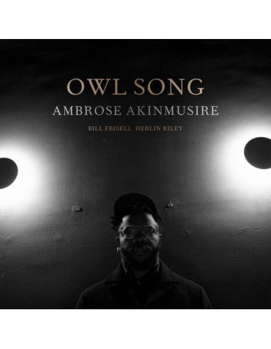 Ambrose Akinmusire - Owl Song