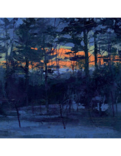 Animal Hospital - Shelf Life