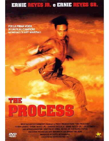 Process (The)