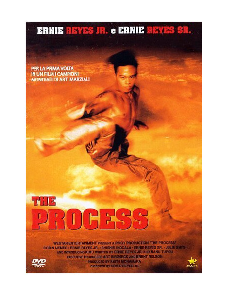 Process (The)