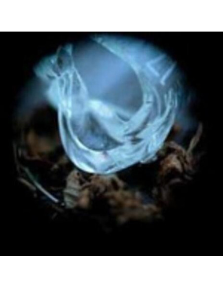 Ossicles - Mantelpiece - (CD)