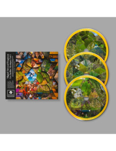 Atwood Miguel Ferguson - Les Jardins Mystiques Vol.1 (Box 3 Cd) - (CD)