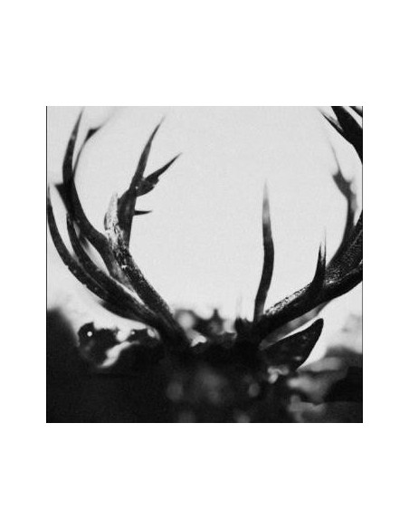 Ihsahn - Ihsahn - Hard Book - (CD) (Hard Book)