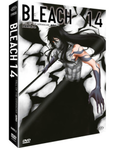 Bleach - Arc 14 Part 2: Fall Of The Arrancar (Eps. 292-316) (4 Dvd) (First Press)