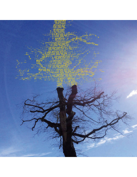 Laetitia Sadier - Rooting For Love - (CD)