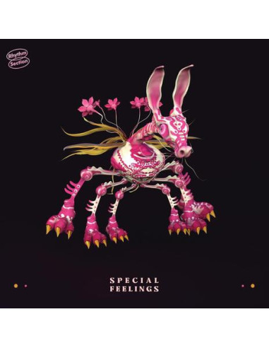 Special Feelings - Special Feelings