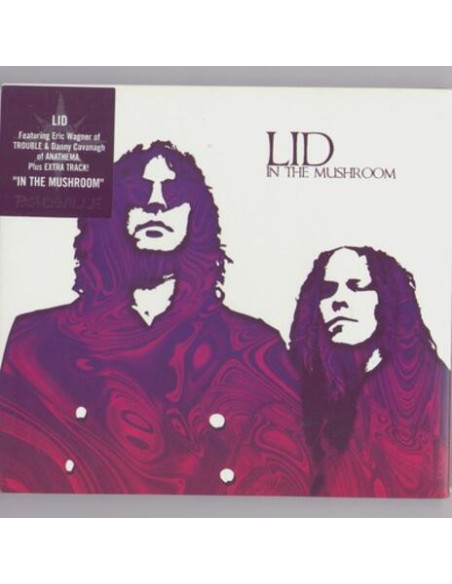 Lid - In The Mushroom