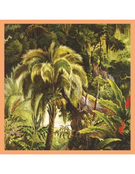 Xiu Xiu - La Foret - Sunset Swirl Vinyl