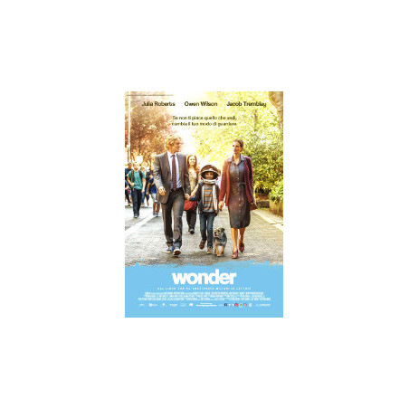 Wonder