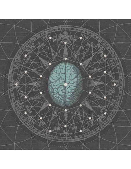 Bipolar Architecture - Methapysisize - (CD)