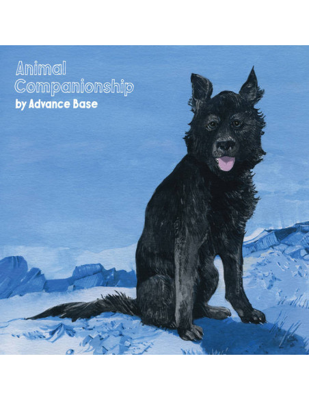Advance Base - Animal Companionship (Clear Vinyl)