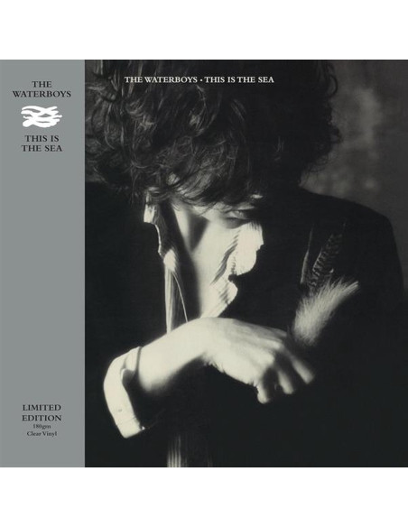 Waterboys - This Is The Sea