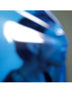 Angell, Erika - Obsession With Her Voice