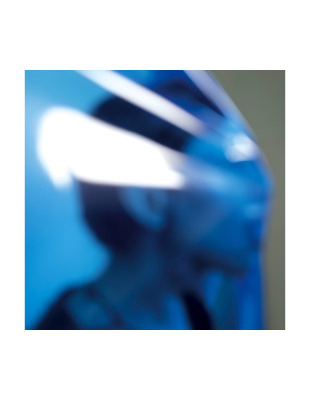 Angell, Erika - Obsession With Her Voice