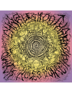 Moothart, Charles - Black Holes Don T Choke - (CD)