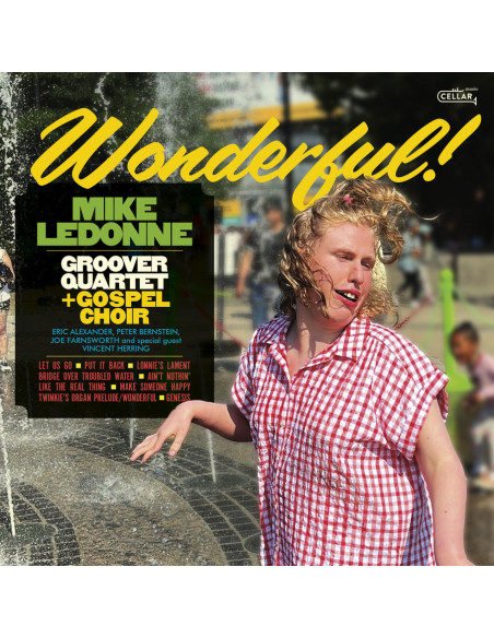 Mike Ledonne and Groov - Wonderful - (CD)