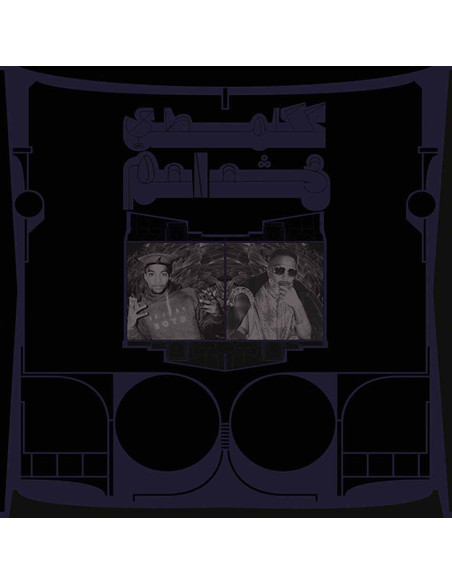 Shabazz Palaces - Exotic Birds Of Prey - (CD)