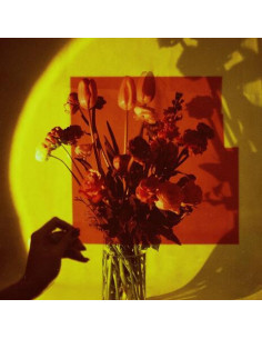 Selfishadows - Everything Changes - (CD)