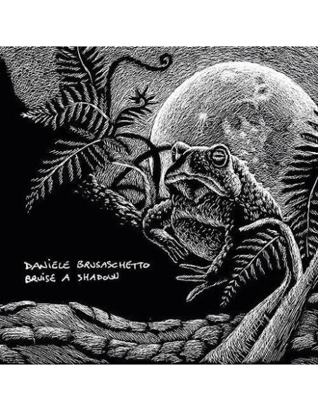 Brusaschetto Daniele - Bruise A Shadow - (CD)