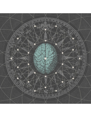 Bipolar Architecture - Metaphysisize