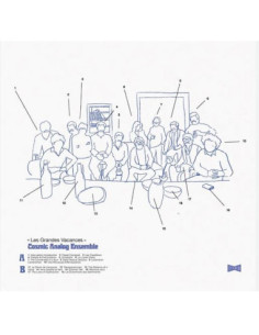 Cosmic Analog Ensemb - Cosmic Analog Ensemble-Les Grandes Vacan