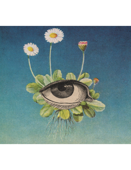 Ojerum - The Limited Circle Is Pure - (CD)