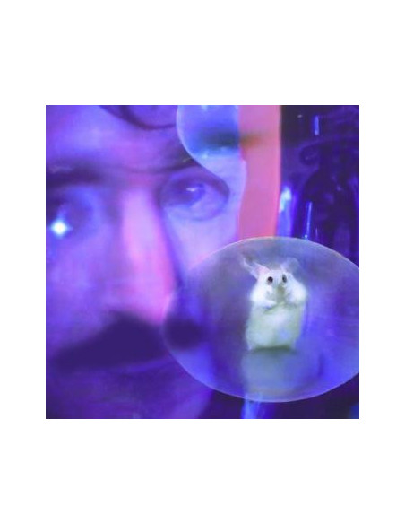 Bachratten - Durch Dich Durch - Pink Splatt. On Clear