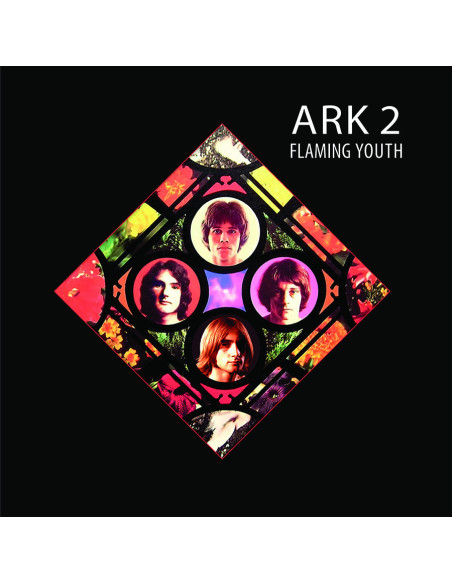 Flaming Youth - Ark 2