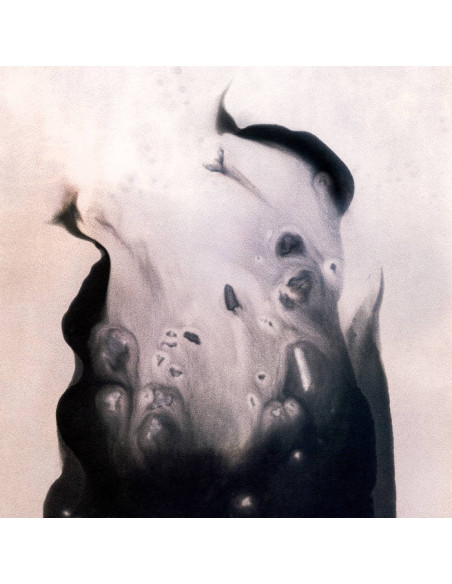 Hansen, Marla - Salt