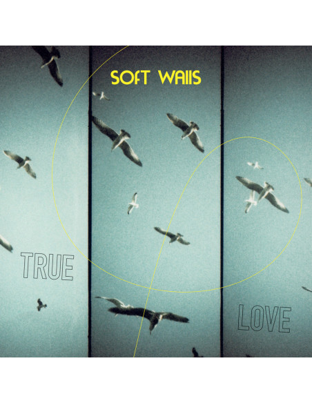 Soft Walls - True Love