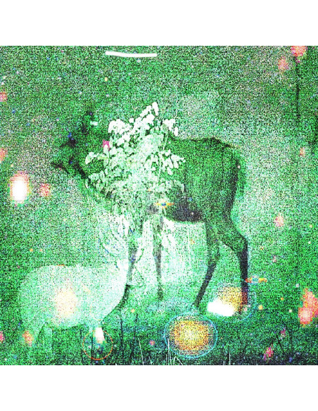 Ghost Lemurs - Wombs And Alien Spirits