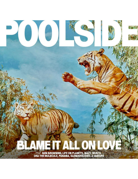 Poolsode - Blame It All On Love