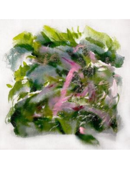 Mizu - Forest Scenes - Light Pink and Red Vinyl