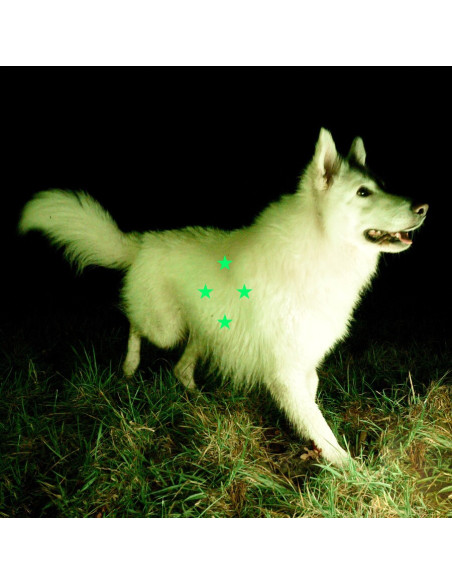 Real Farmer - Compare What S There (Fluorescent Green