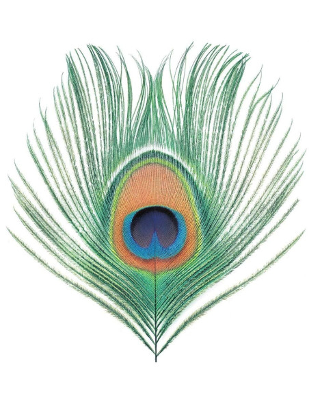 Xtc - Apple Venus (Single Lp 200 Gr)