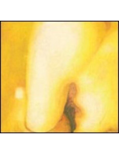 Smashing Pumpkins - Pisces Iscariot - 2Lp 180 Gr.