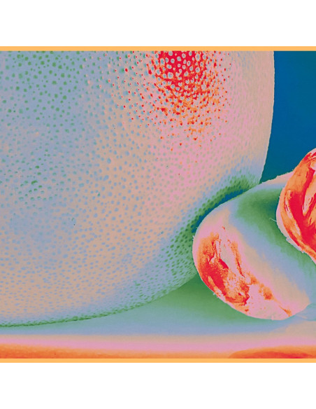 Citrus Citrus - Albedo Massima