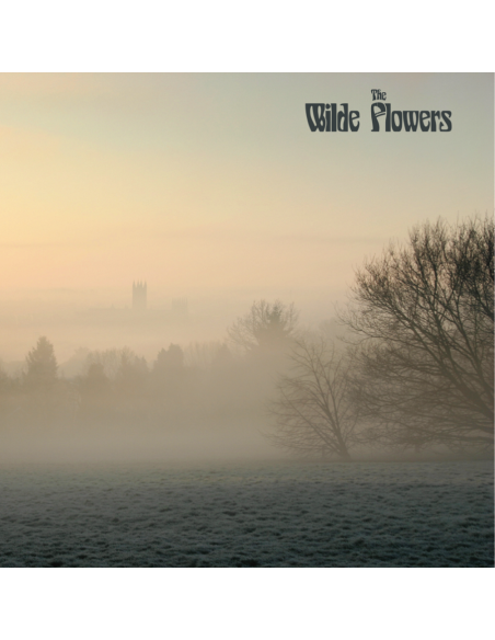 Wilde Flowers - Wilde Flowers