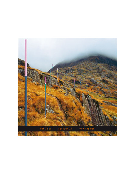 Section 25 - From The Hip - (CD)