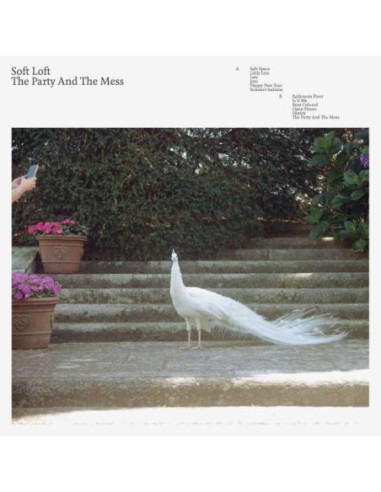 Soft Loft - The Party And The Mess -...