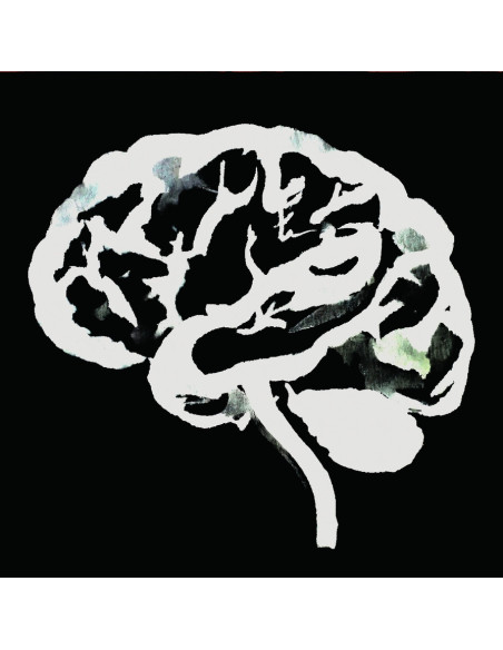 Ruins - Brain Flakes